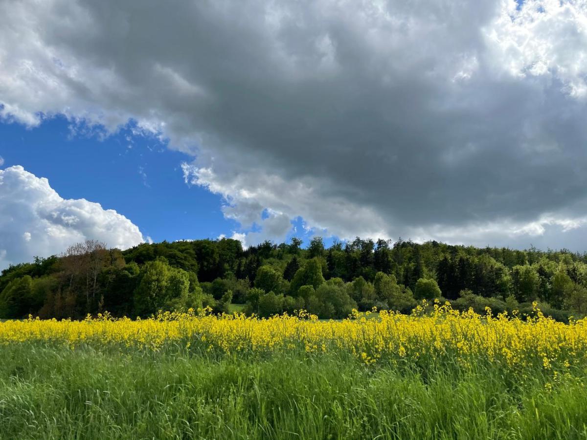 Villa Talblick im Naturpark Altmühltal Greding Exterior foto